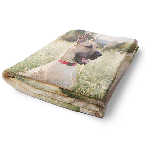 Icon Plush Fleece Photo Blanket